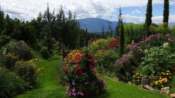 Un jardí amb una varietat de flors i arbres, un camí de gespa i muntanyes al fons.