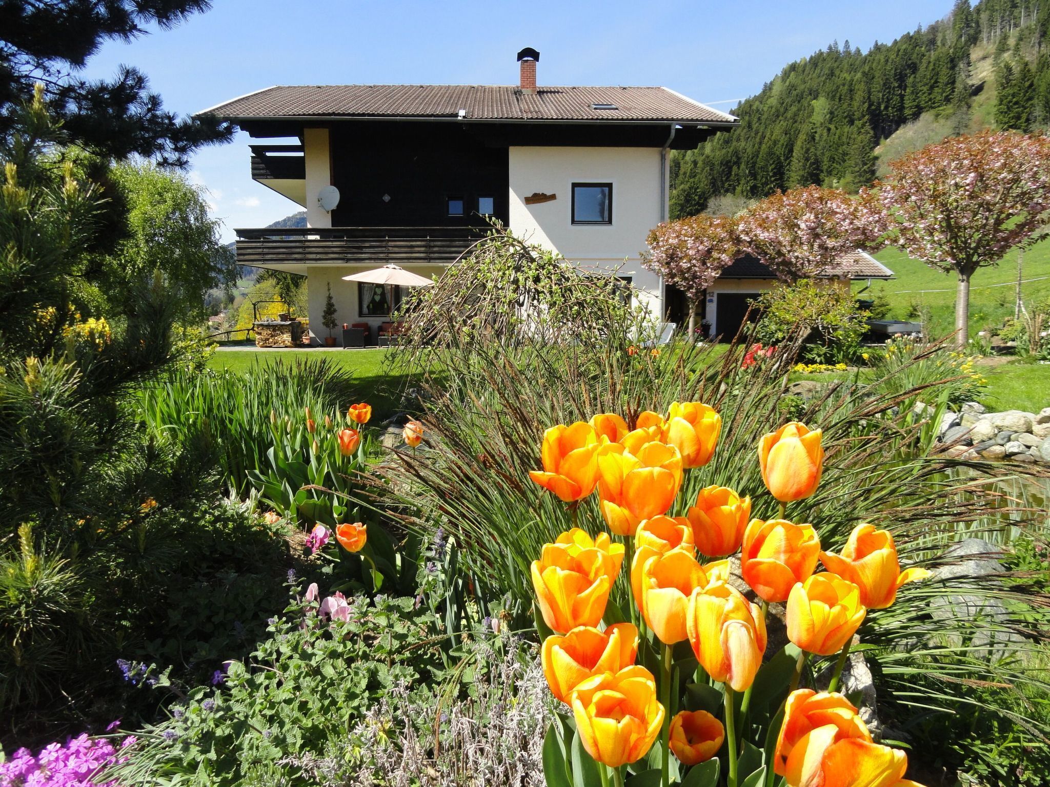 A house with a garden in front, including tulips and other plants.