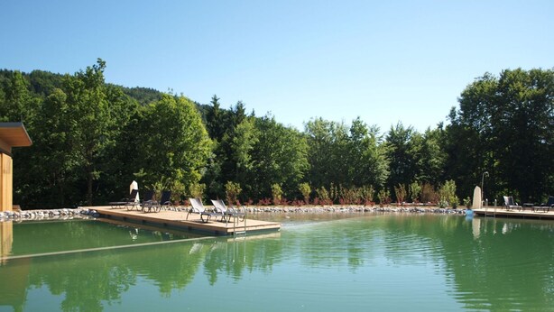 A tranquil outdoor swimming pool with lounge chairs and a wooden building in the background. - Erle in Feistritz im Rosental by Interhome (Feistritz im Rosental)