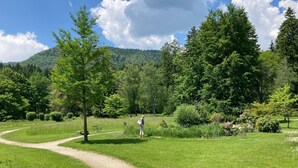 En frodig, grön park med en grusgång, omgiven av träd och kullar.