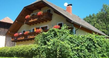 Typ 1 im Haus Huber in Bleiburg by Interhome