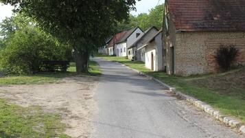Eine ruhige Wohnstraße mit eingeschossigen Häusern, einer asphaltierten Straße und einem großen Baum auf der linken Seite.