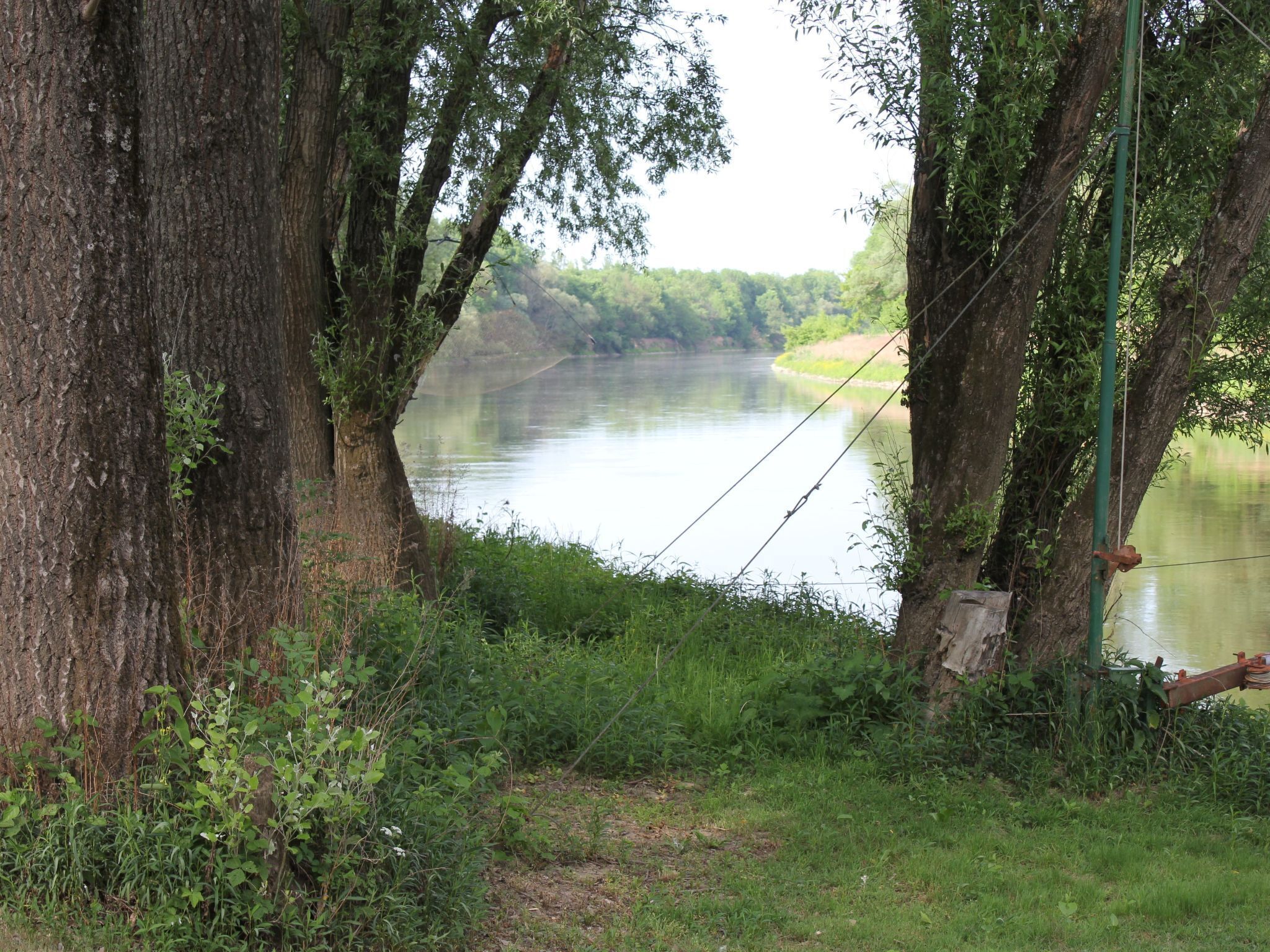 A riverbank with trees and a fishing rod.