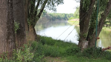 A riverbank with trees and a fishing rod.