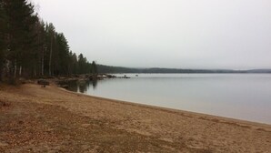 Ein Strand mit sandigem Ufer, einem ruhigen See und einem Wald im Hintergrund.