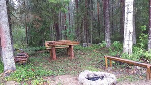 Un banco de madera rústico en un área boscosa, con un hogar de piedra cercano.