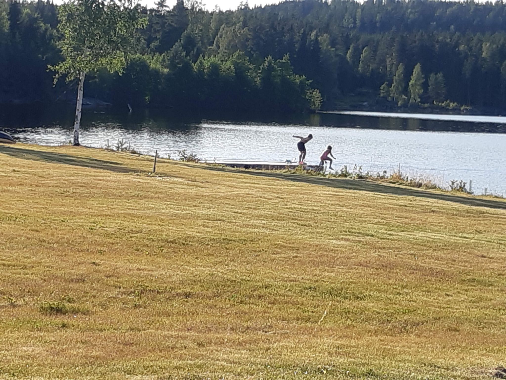 A grassy field with a lake and forest in the background.
