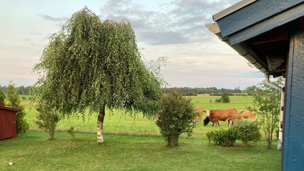 Unterkunftsgelände