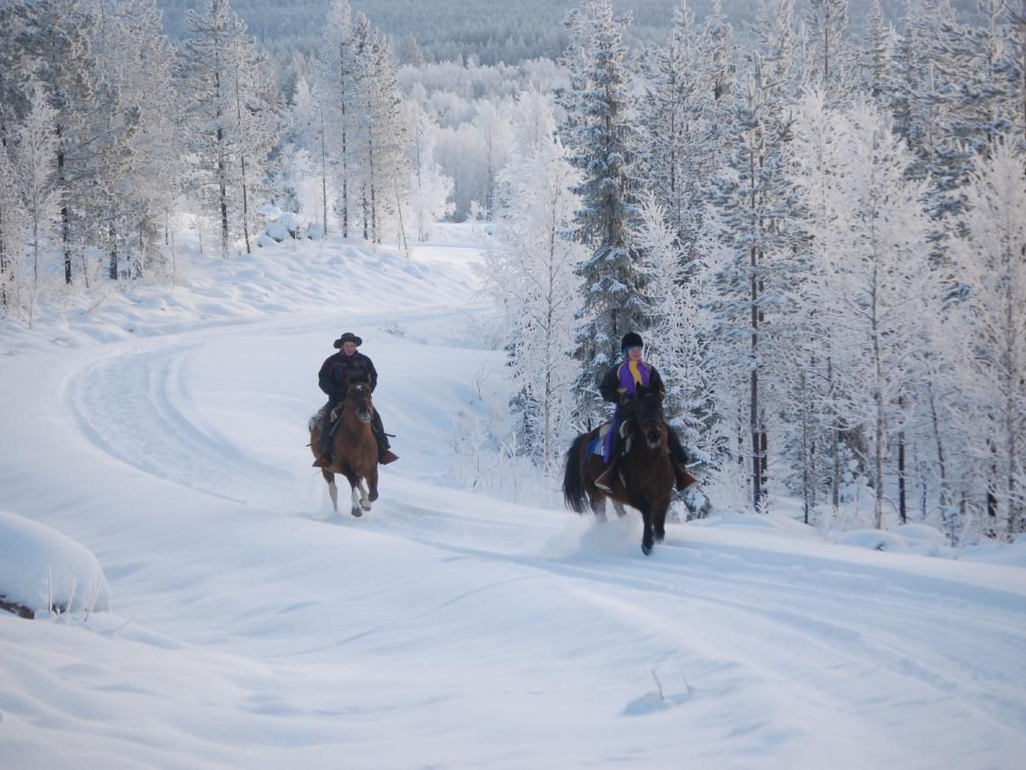 Dos personas montando a caballo por un sendero cubierto de nieve, rodeado de árboles.