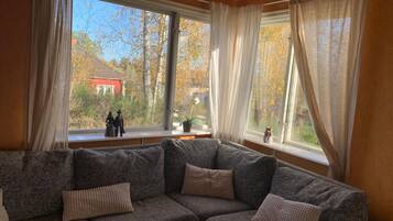 Televisión, chimenea y reproductor de DVD