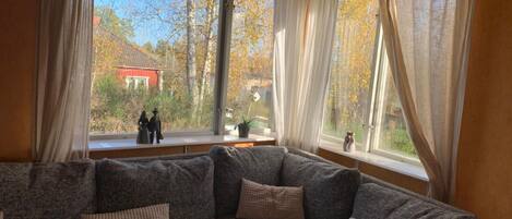 TV, fireplace, DVD player