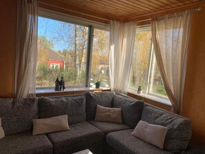 TV, fireplace, DVD player