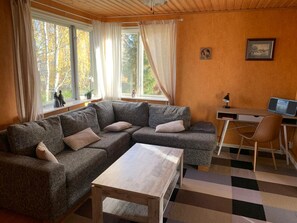 Télévision, cheminée, lecteur de DVD