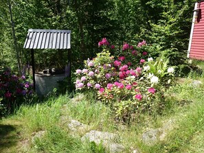 Property grounds - Gemütliches Ferienhaus in Seenähe by Interhome (Hallaryd)