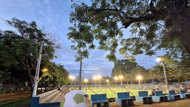 Un campo da calcio con un pallone da calcio su un ceppo, circondato da alberi e panchine.