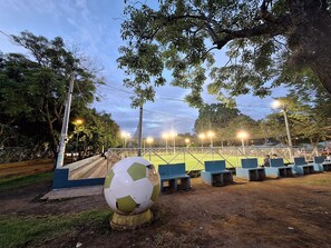 A soccer field with a large soccer ball on a stump, surrounded by trees and benches.
