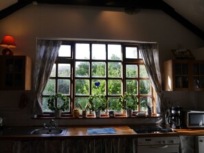 Fridge, microwave, oven, cookware/dishes/utensils - Minie's Cottage Wild Atlantic Way by Interhome (Dingle)