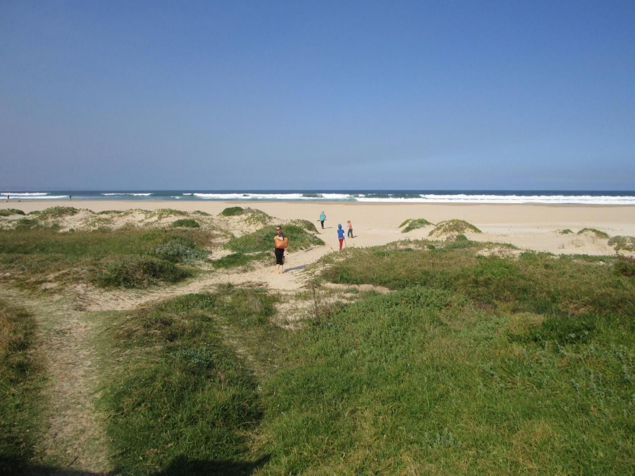 A beach path leading to the ocean with dunes and greenery.