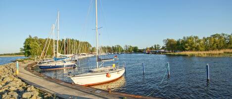A marina with several sailboats docked, a concrete walkway, and a rocky shoreline.