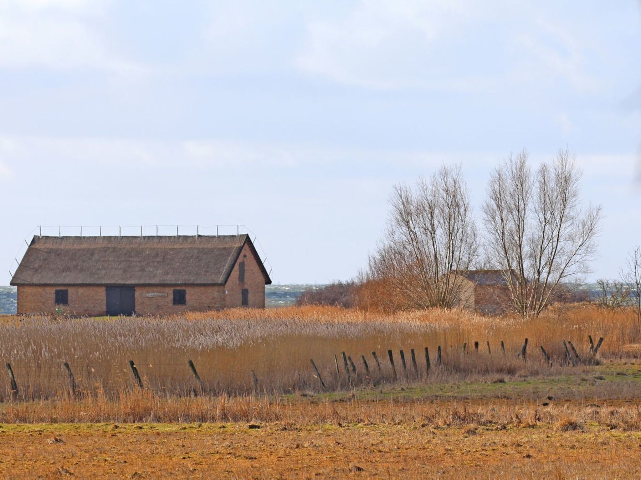 Eksteriør
