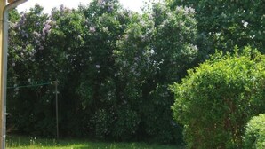 Une table ronde dans un jardin, avec une haie et des arbres en fleurs en arrière-plan.