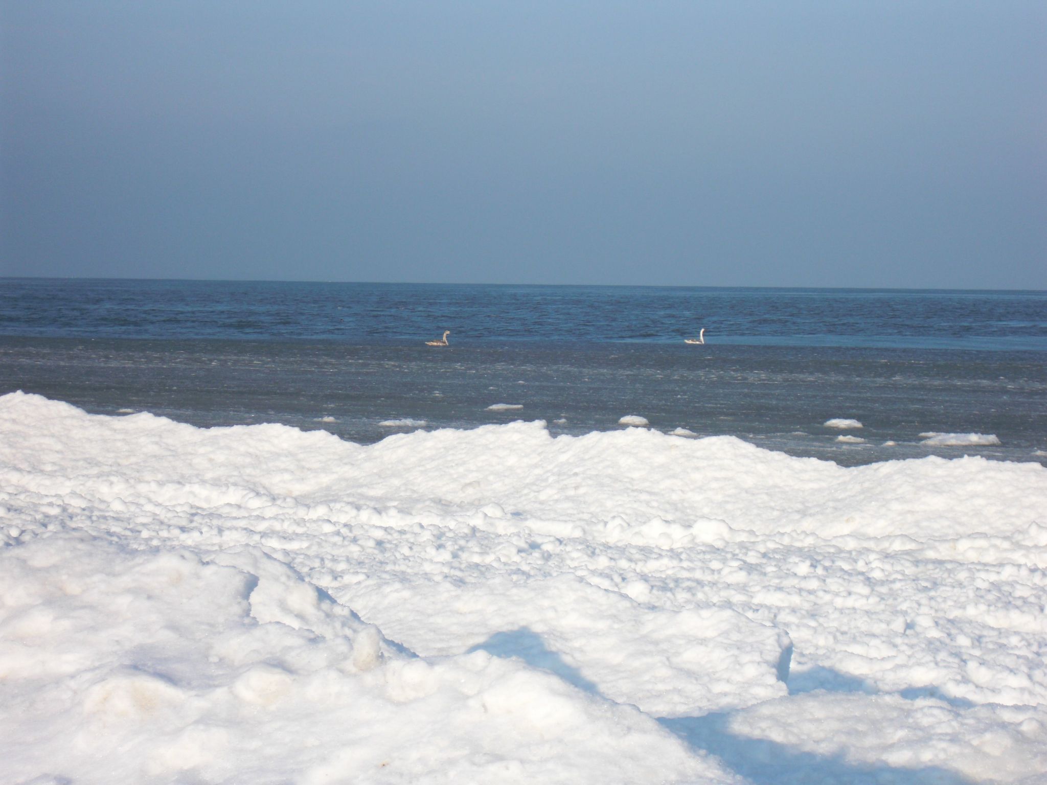 A snowy landscape with a body of water and two birds in the distance.