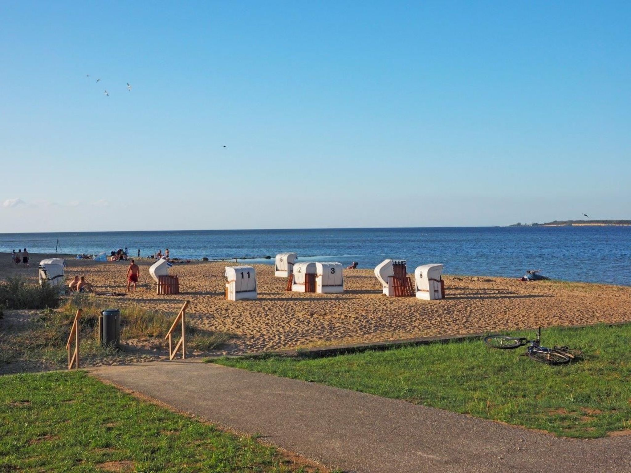 Een strand met genummerde ligbedden en een pad naar het water.