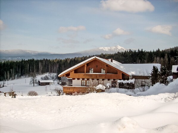 Een houten chalet met een schuin dak, omgeven door besneeuwde grond en bomen, met een berg op de achtergrond.