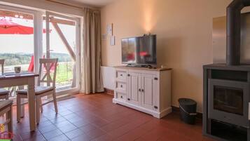 Fernseher, Kamin, DVD-Player