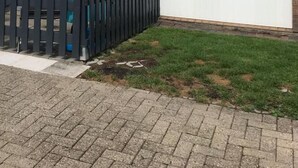 Una casa de ladrillo de un piso con patio cercado, piscina pequeña y sombrilla.
