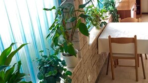 Ein Zimmer mit Esstisch und Stühlen, einem Fenster mit Pflanzen und einer Steinsäule.