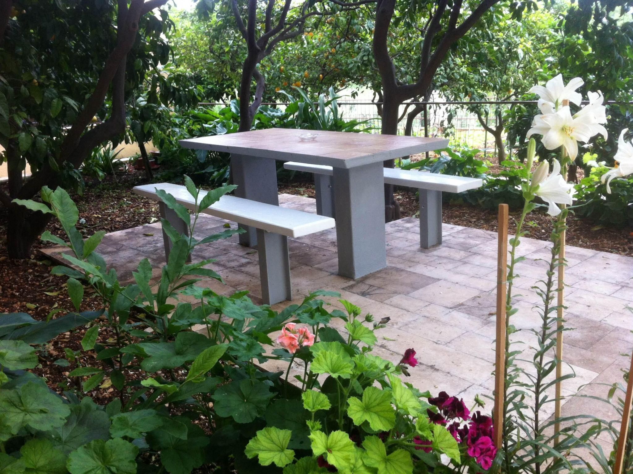 Eine Gartenpatio mit einem Betontisch und Bänken, umgeben von  üppiger Bepflanzung und blühenden Pflanzen.
