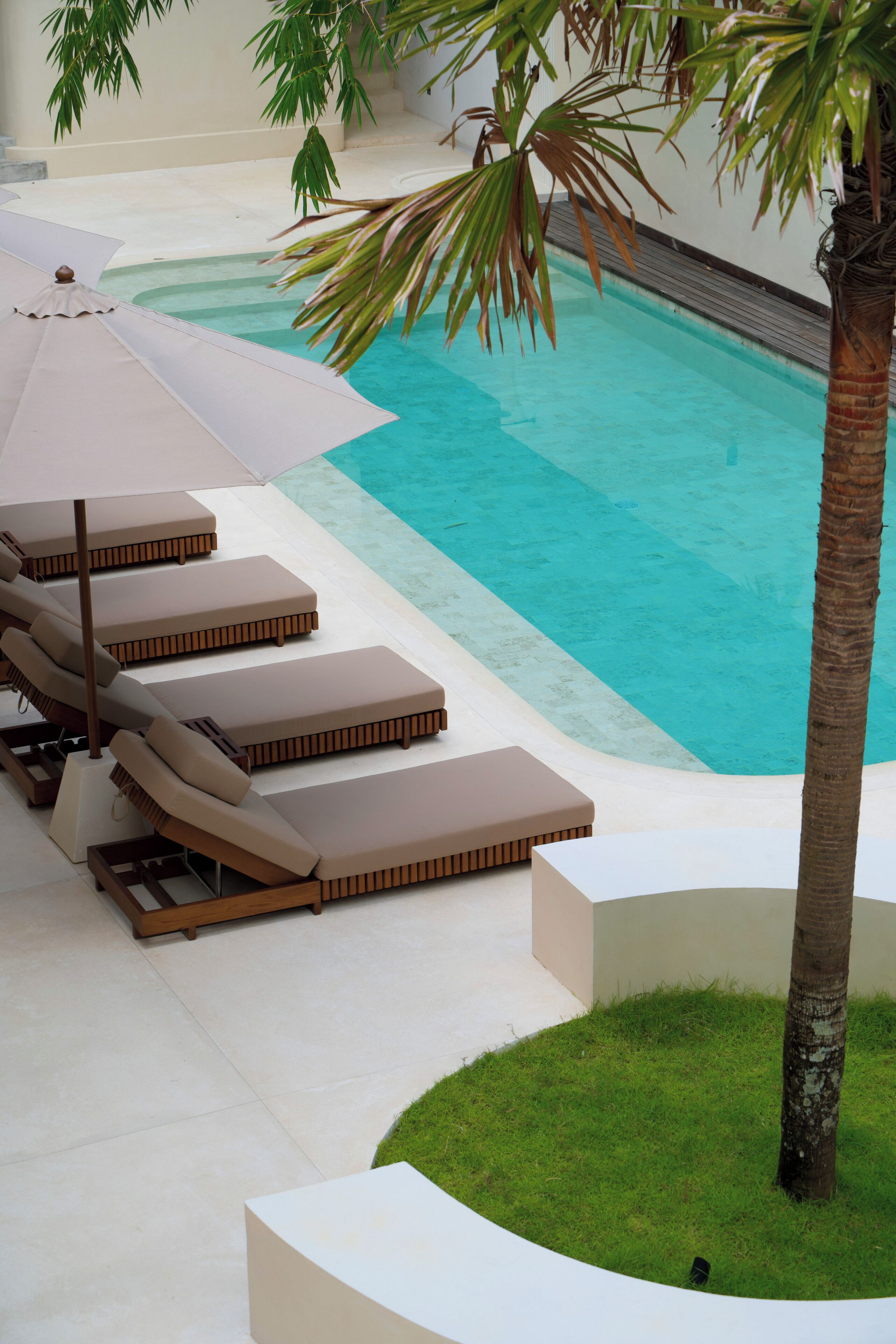 A poolside area with lounge chairs and a palm tree.