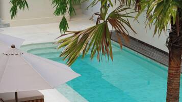A poolside area with lounge chairs and a palm tree.