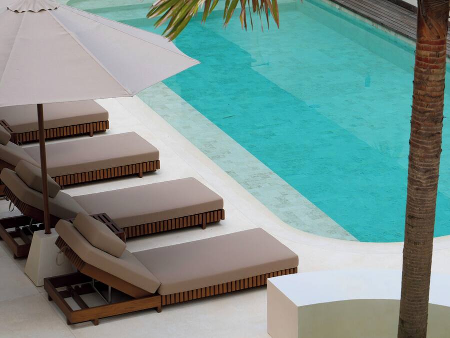 A poolside area with lounge chairs and a palm tree.