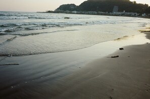 Beach nearby - BIRD HOTEL (Kamakura)