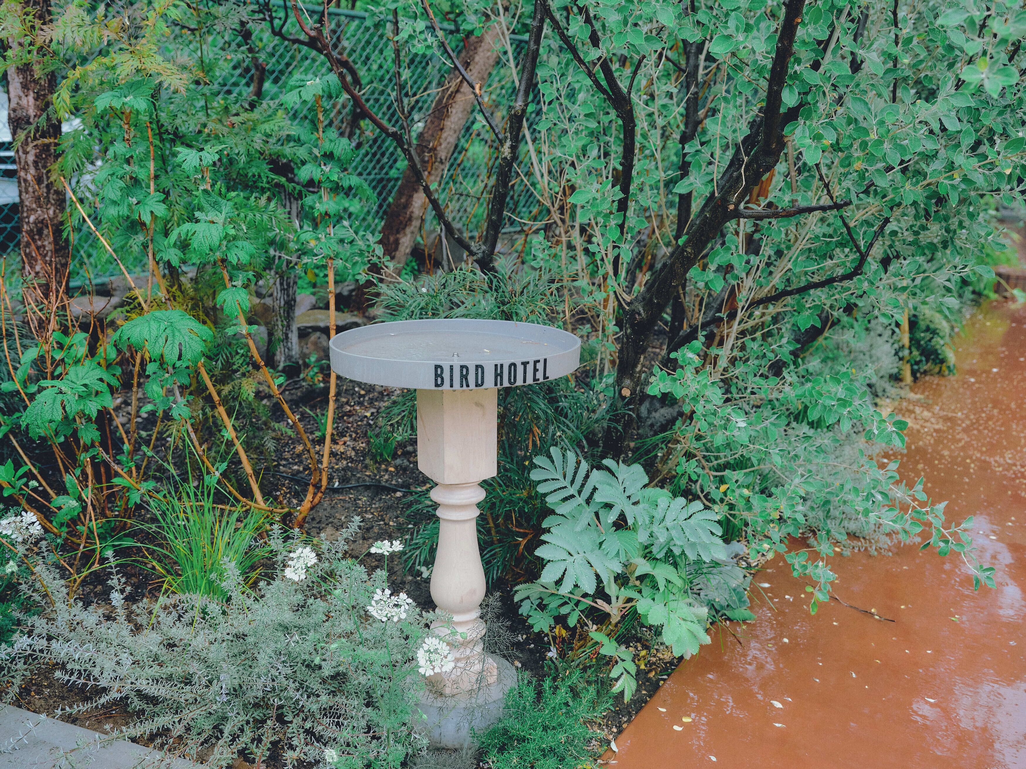 A birdhouse labeled "BIRD HOTEL" amidst lush greenery.