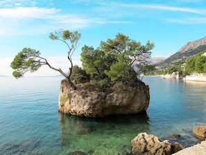 Miscellaneous - "Rose" mit Terrasse by Interhome (Makarska)