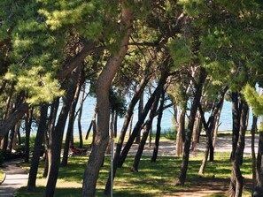Property grounds - Direkt am Meer, nur einen Steinwurf von den Stränden mit Meerblick entfernt by Interhome (Dragovode)