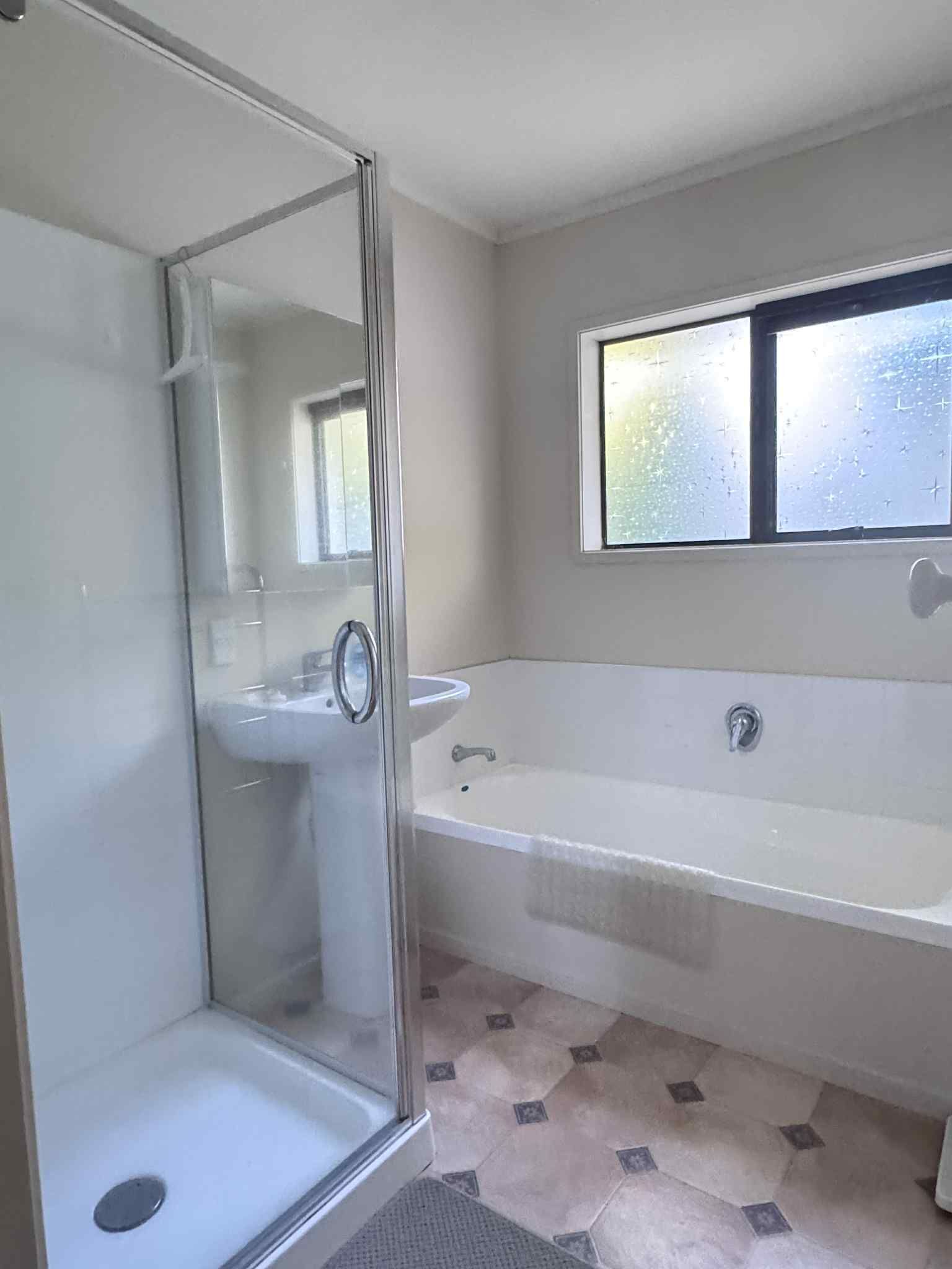 Shower, towels, soap, toilet paper