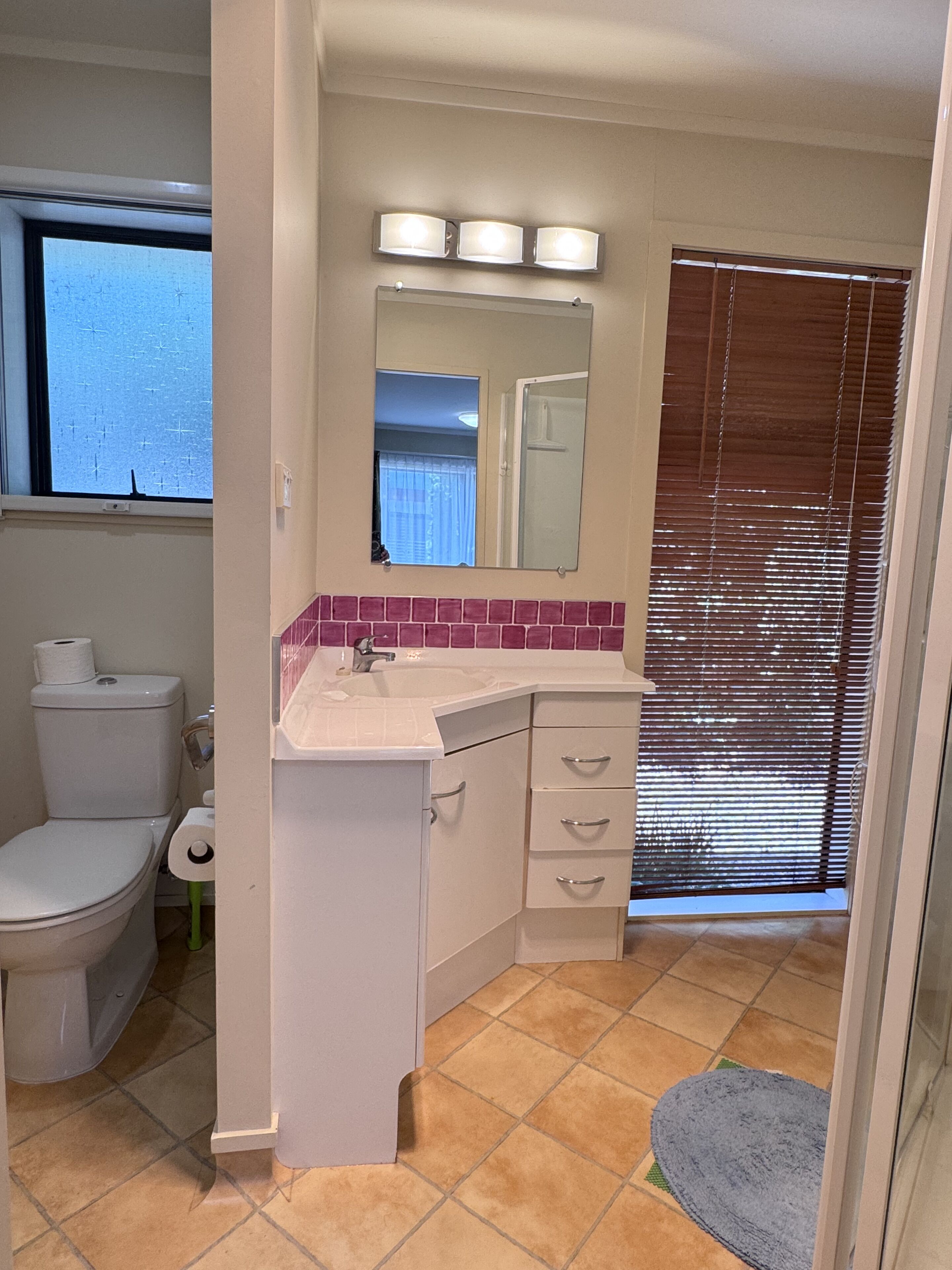 Shower, towels, soap, toilet paper