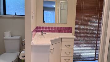 Shower, towels, soap, toilet paper