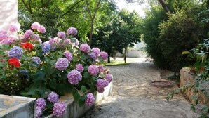 A stone pathway leading through a garden with hydrangea flowers and trees. - Strandnahes Haus Lolinka mit schattiger Terrasse by Interhome (Zadar/Bibinje)
