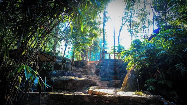 A stone pathway leading through a lush, green forested area with a small waterfall and a wooden structure. - Wijaya Holiday Resort (Kiriella)