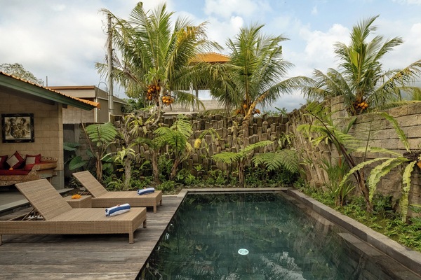 Outdoor pool, sun loungers