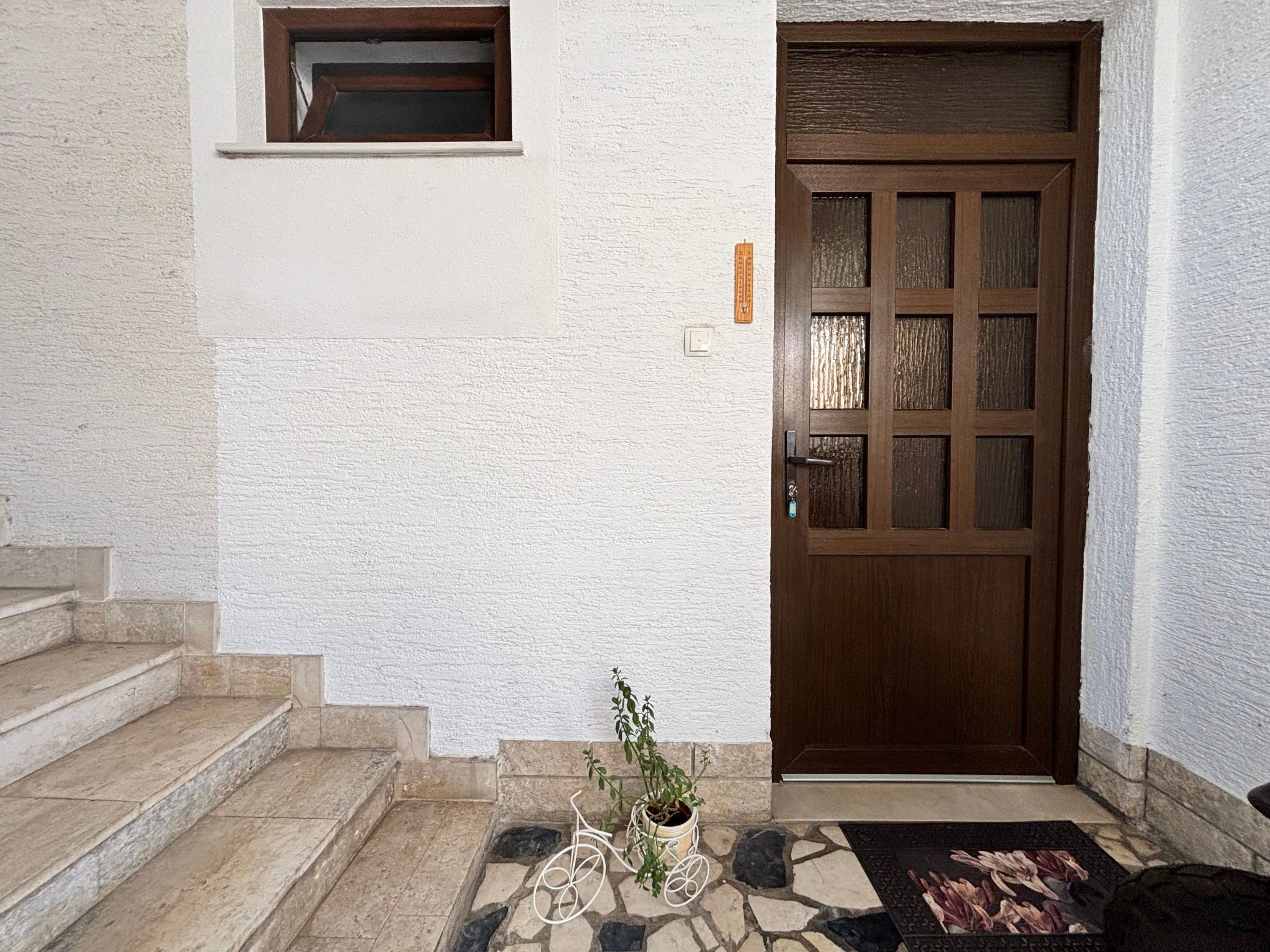 A stone staircase leading to a wooden door with a glass panel, a small window above, and a potted plant on the steps.