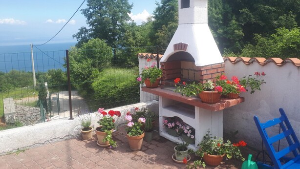 Een bakoven van baksteen met bloempotten op een terras.