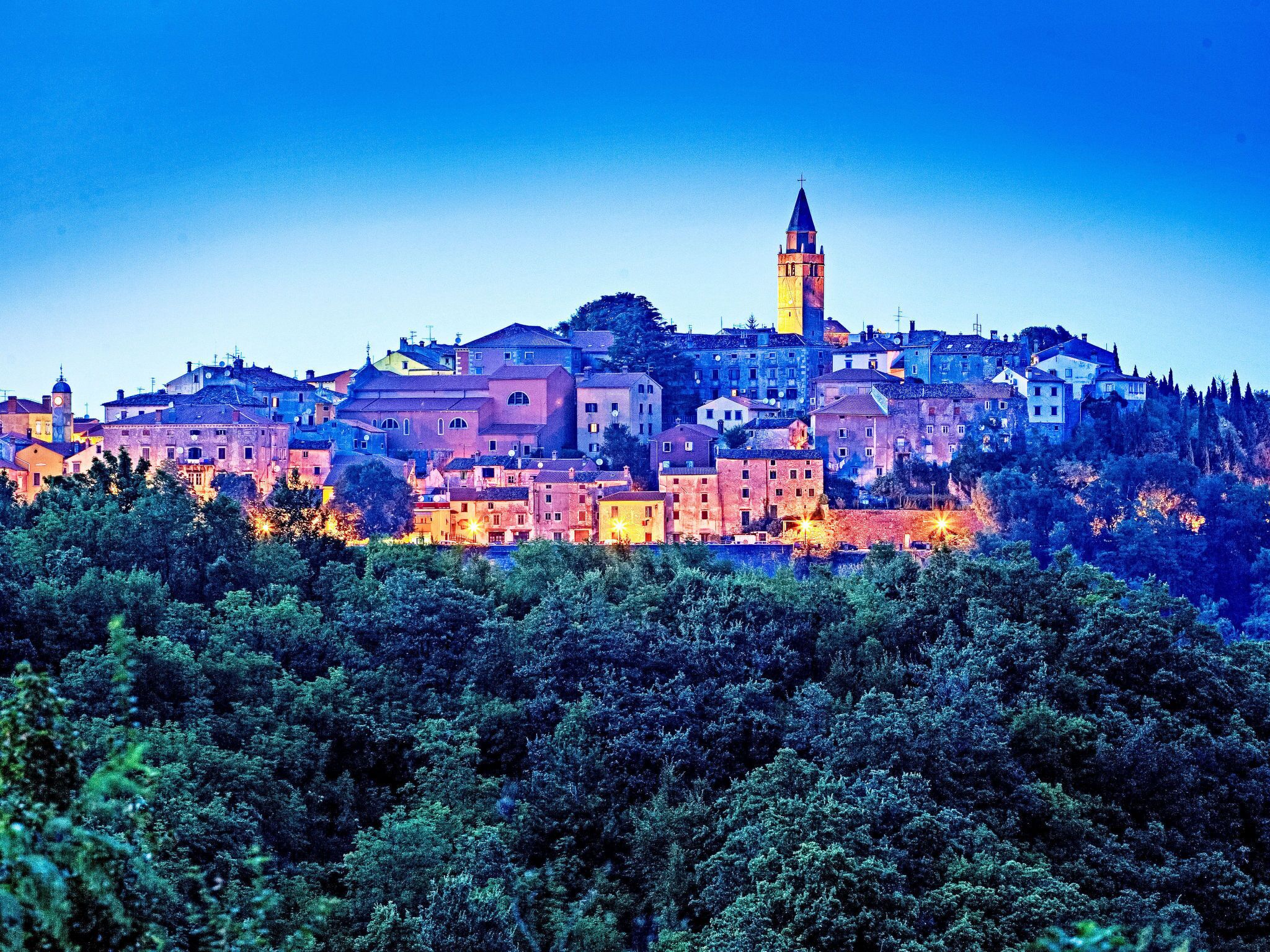 A historic town with a prominent tower, dense tree coverage, and illuminated buildings.