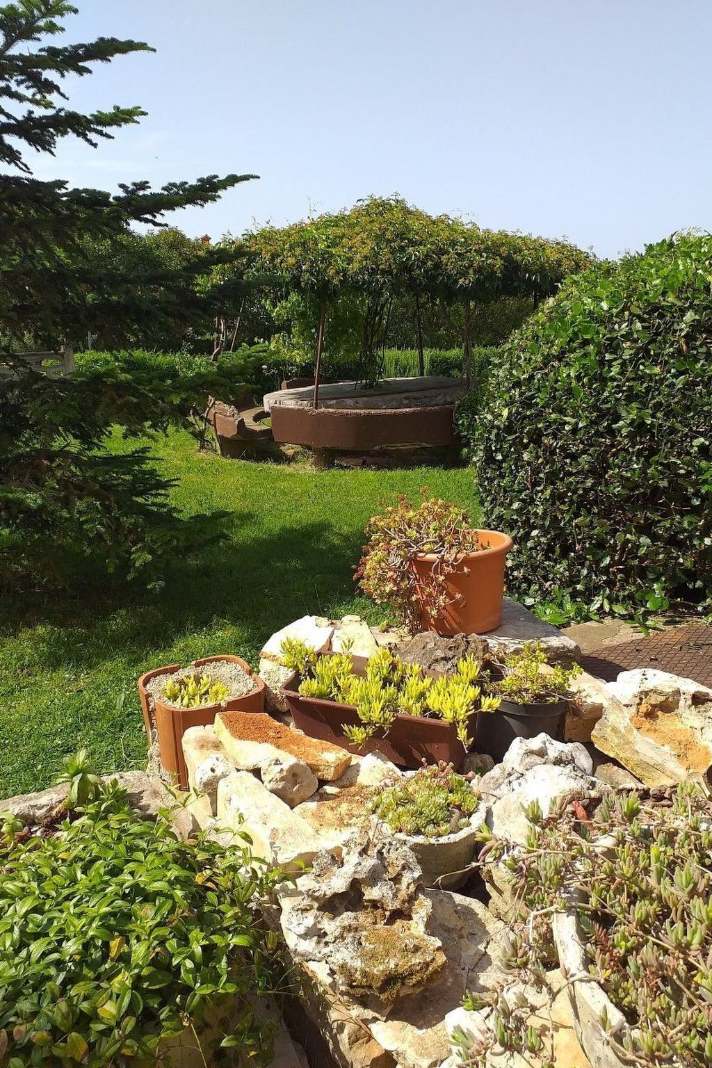 Ein Garten mit verschiedenen Blumentöpfen und einer Steinstruktur.