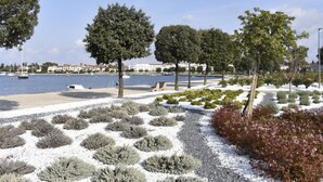 Un paseo marítimo con árboles, un sendero de arena y vistas al mar y edificios al fondo.